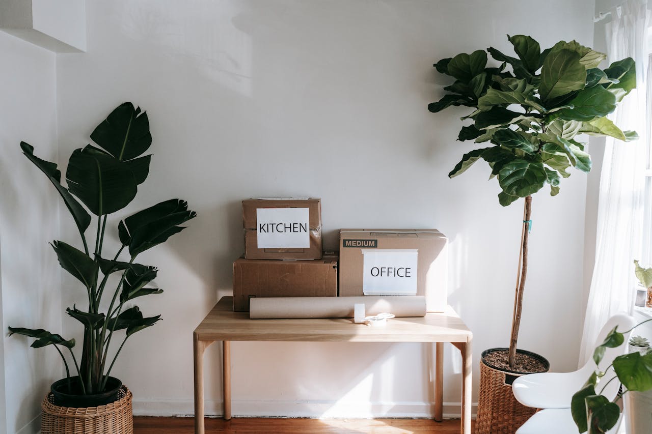 Stylish interior with moving boxes labeled Kitchen and Office on a wooden table surrounded by houseplants.